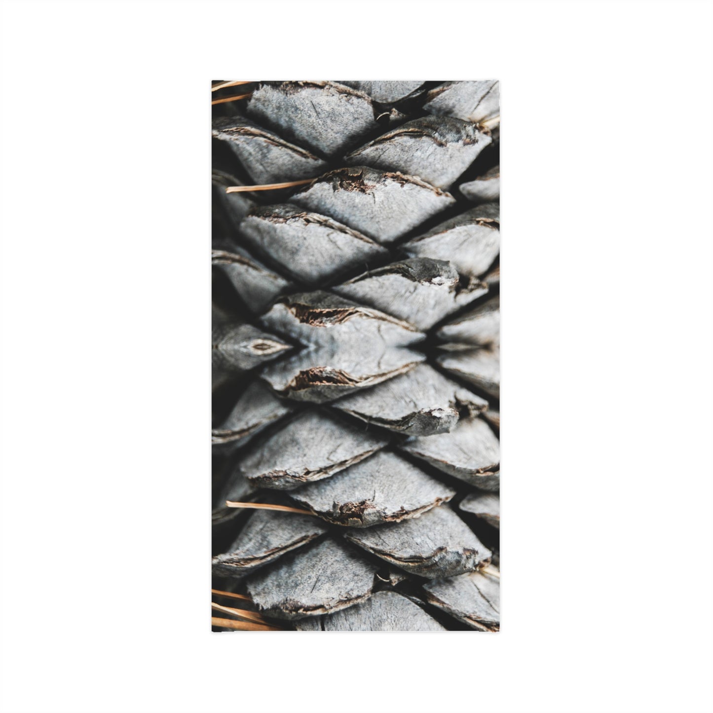 Pine Cone (lightweight Gaiter)