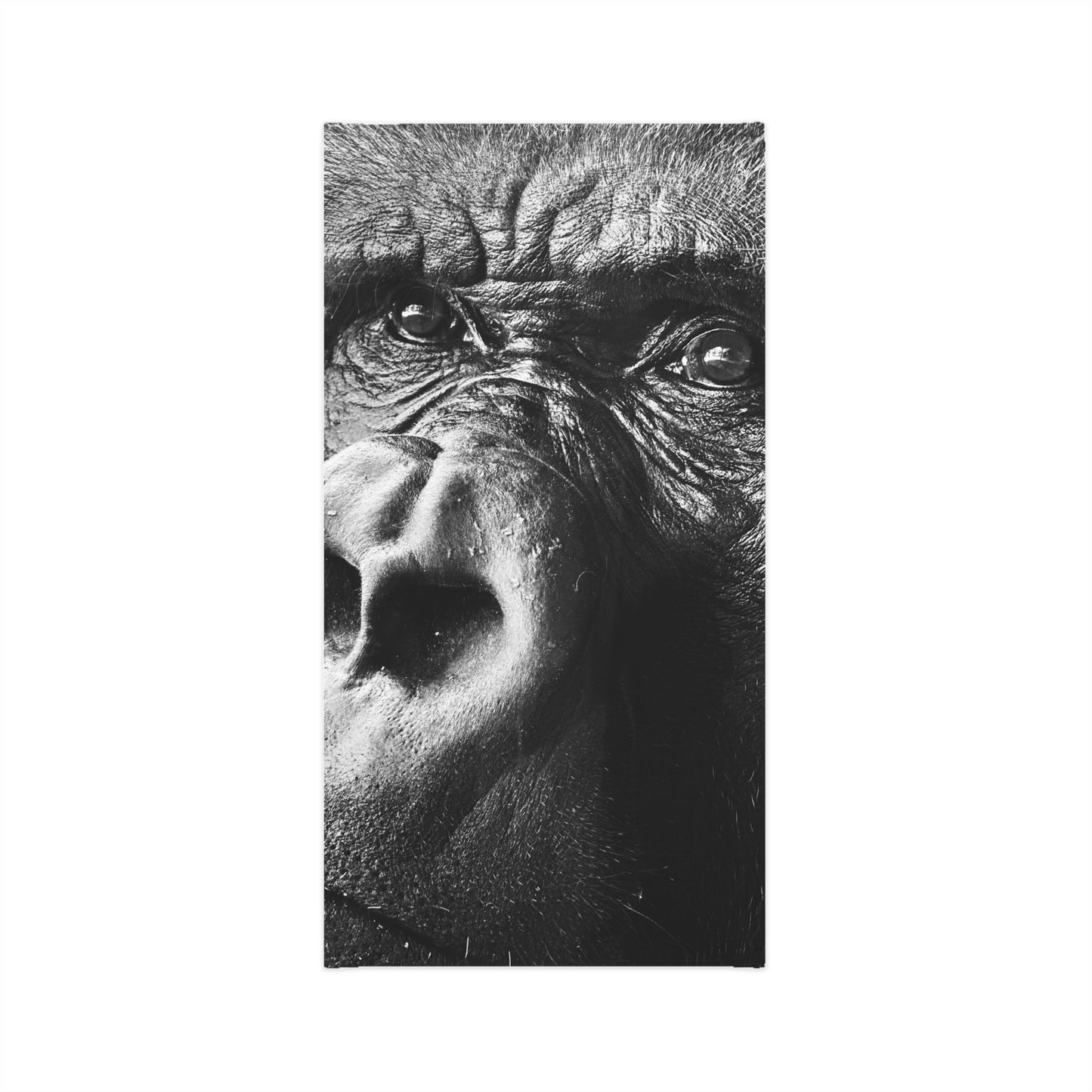 The Gorilla Gaiter